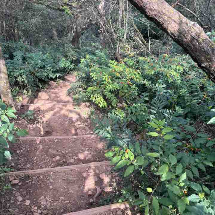 Estee Lauder Walking Challenge Christerbella Mashigo post image