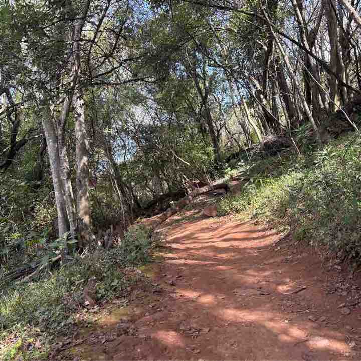 Estee Lauder Walking Challenge Christerbella Mashigo post image