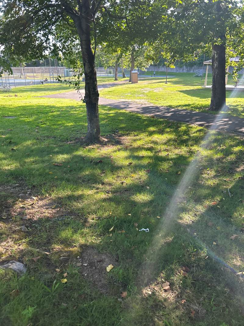 walking near me in Glenwood Park in summer