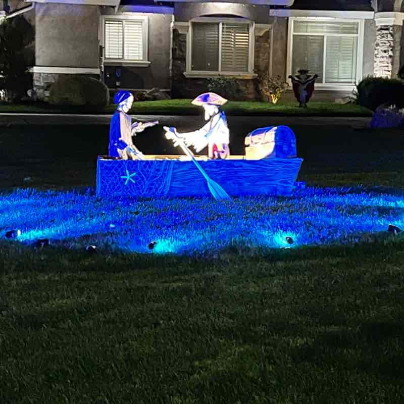 The Walking Collective Priscilla post image