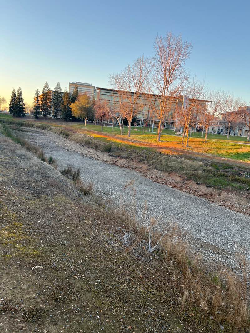 walking near me in Carol Tomlinson-Keasey Quad in winter