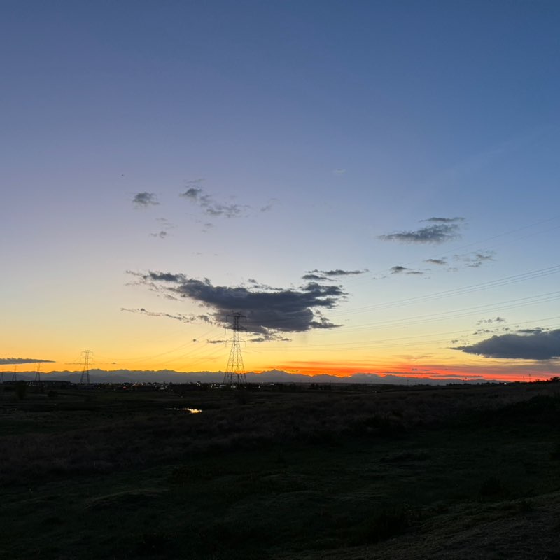 Marty J Haller post 2