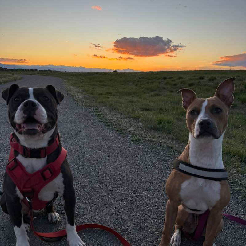 Marty J Haller post 1