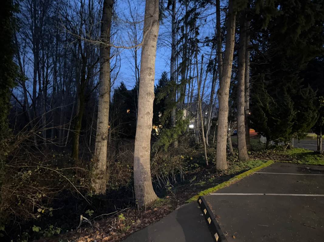 walking near me in Forbes Lake Park in winter