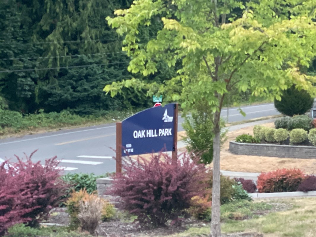 walking near me in Oak Hill Park in autumn