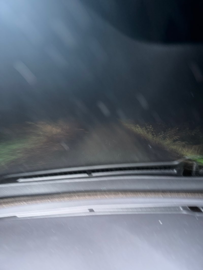 walking near me in Deering Wildflower Acres in winter