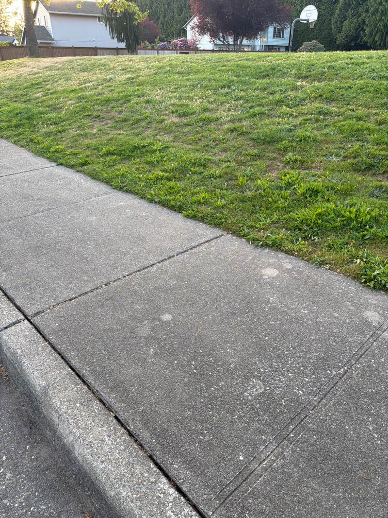 walking near me in Cedarcrest Vista Park in spring