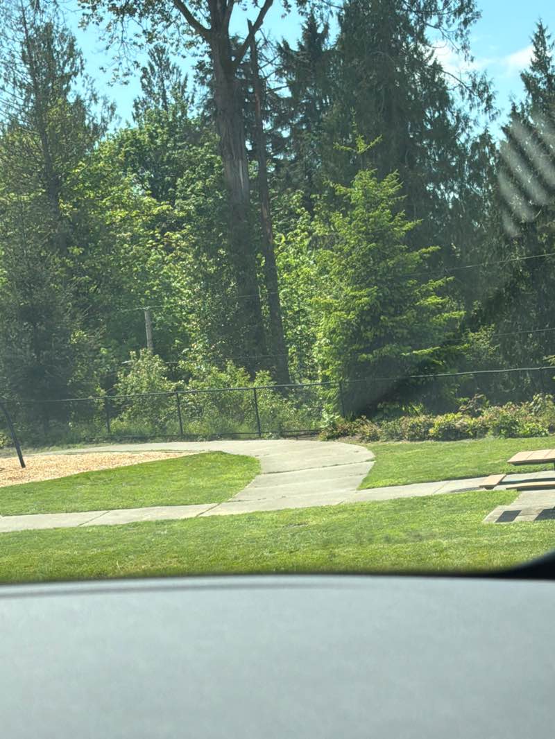walking near me in Oak Hill Park in summer
