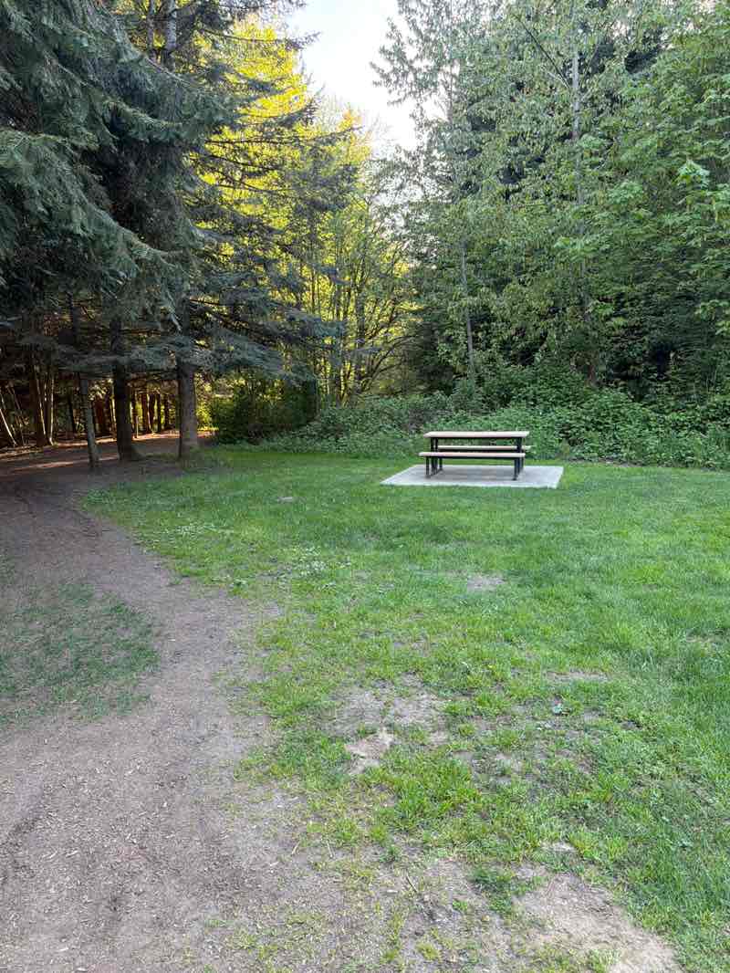 walking near me in Doleshel Park in spring