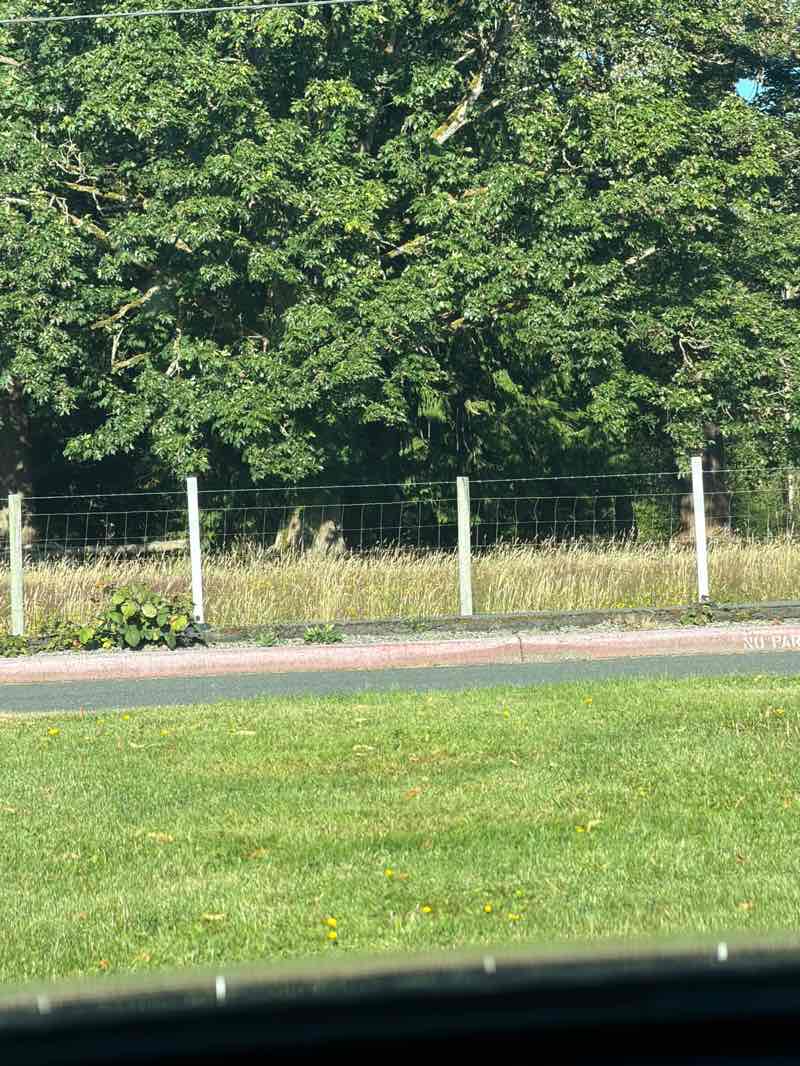 walking near me in Cavalero Hill Park in summer