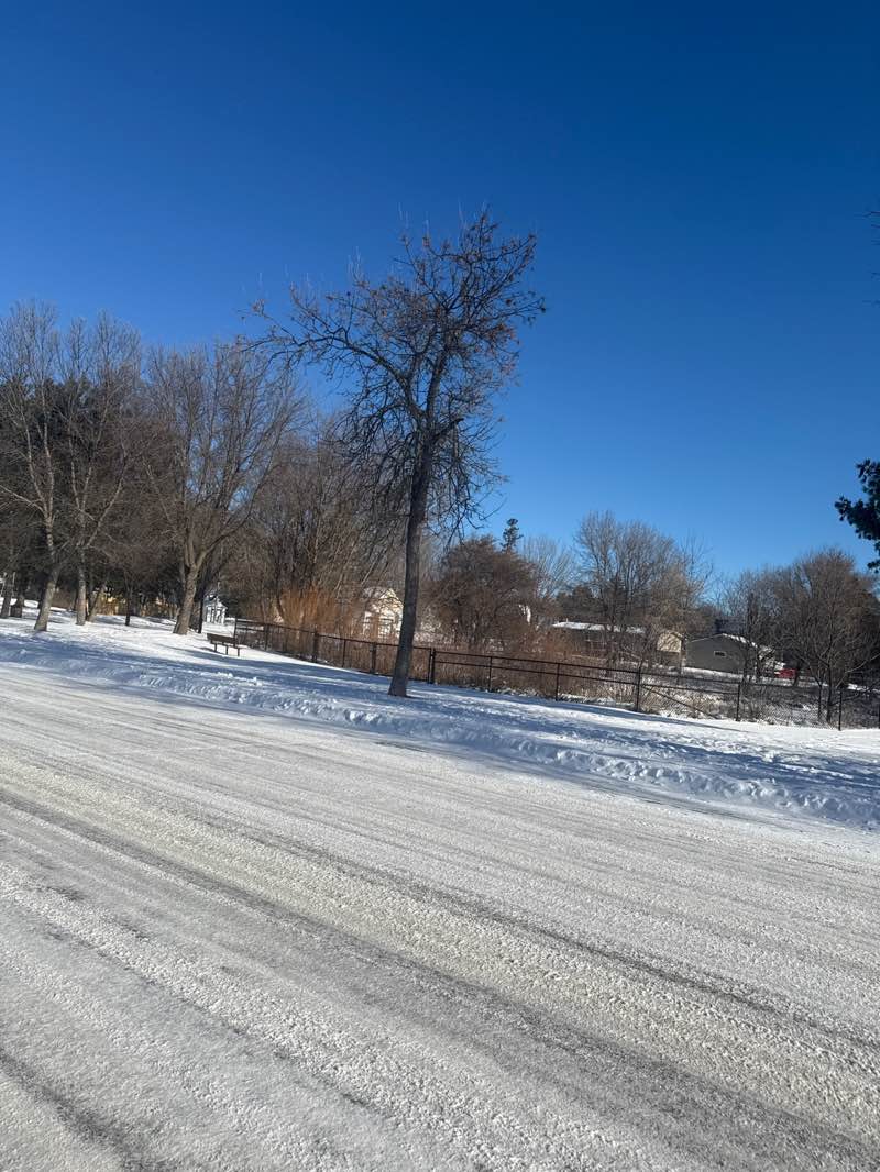 walking near me in Lost Creek Park in winter