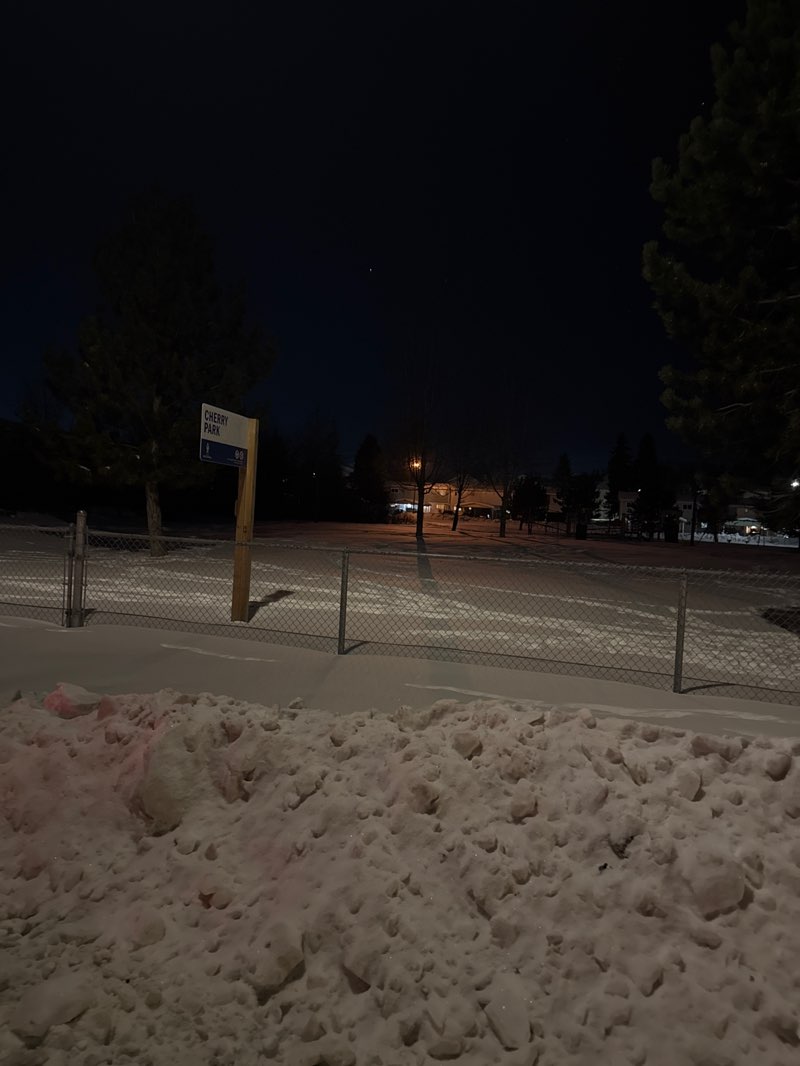 walking near me in Cherry Park in winter