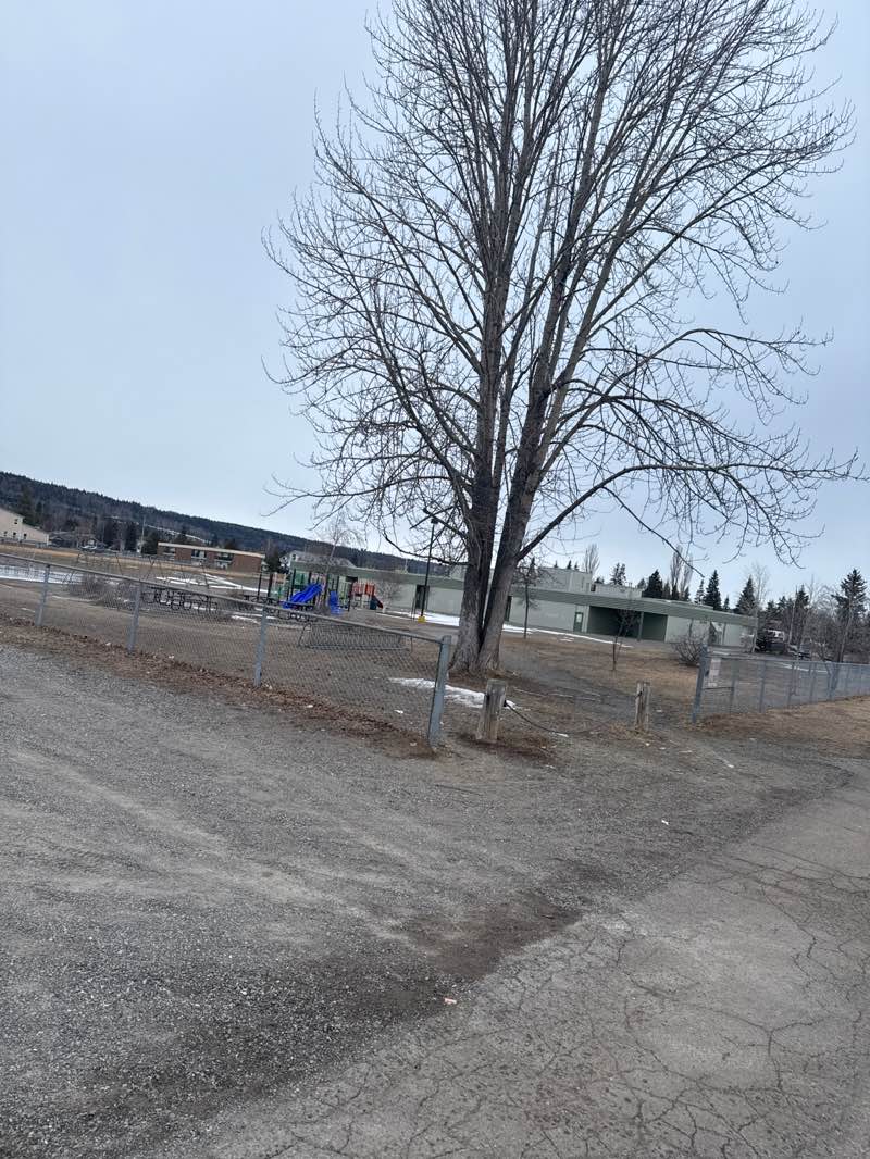 walking near me in Vanier Park in spring