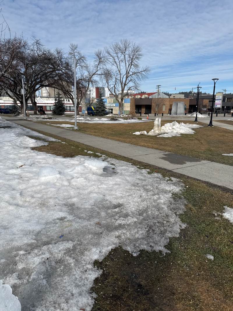 walking near me in Veterans Plaza in spring
