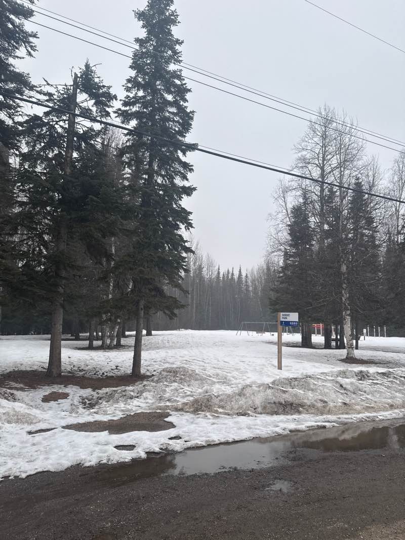 walking near me in Nordic Park in spring