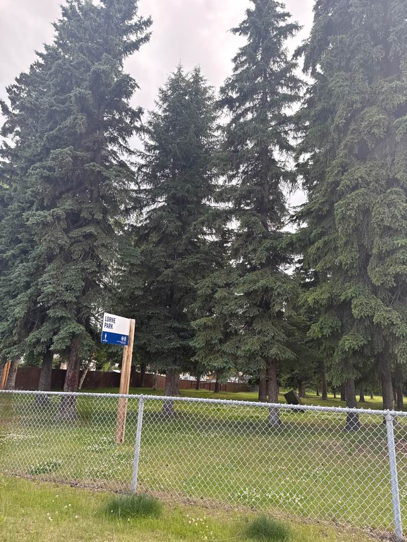 walking near me in Lorne Park in summer