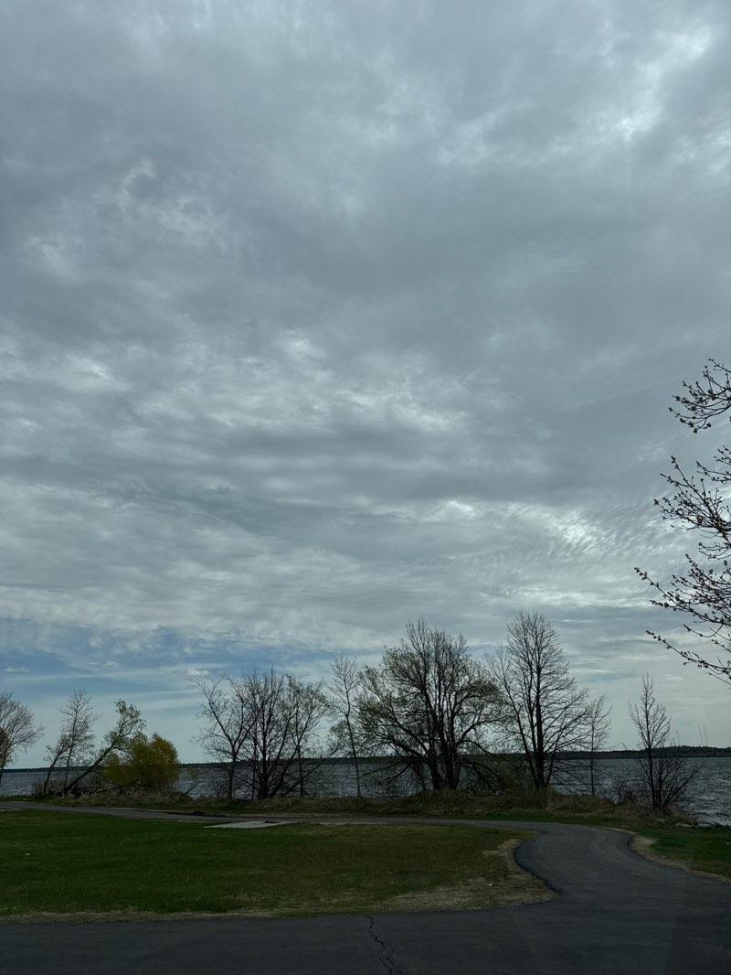 walking near me in Paul Bunyan Park in summer