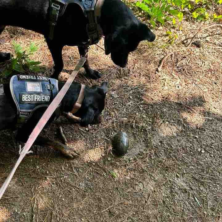 👣ENJOY YOUR WALKS👣 Yazmari post image