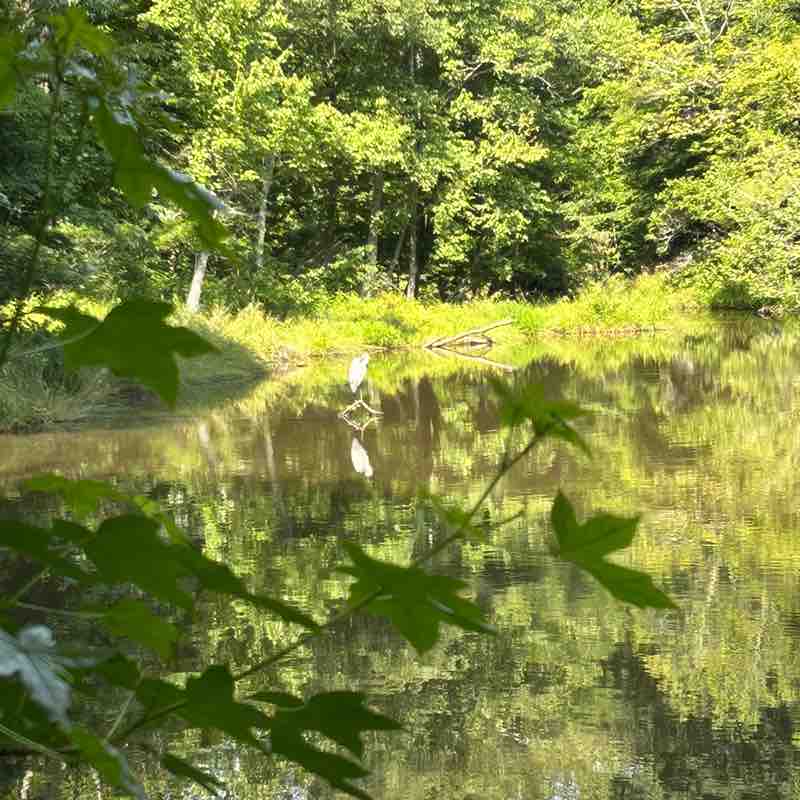 👣ENJOY YOUR WALKS👣 Yazmari post image