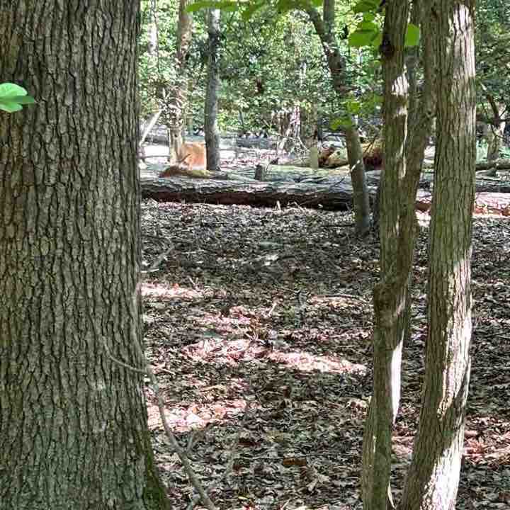 👣ENJOY YOUR WALKS👣 Yazmari post image