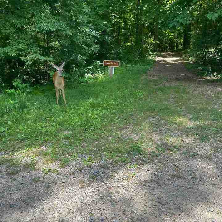 👣ENJOY YOUR WALKS👣 Yazmari post image