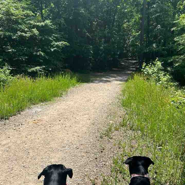 👣ENJOY YOUR WALKS👣 Yazmari post image