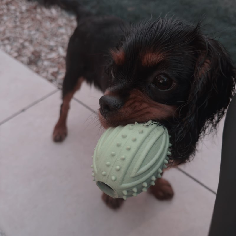 Nottingham Experience Natalie post image