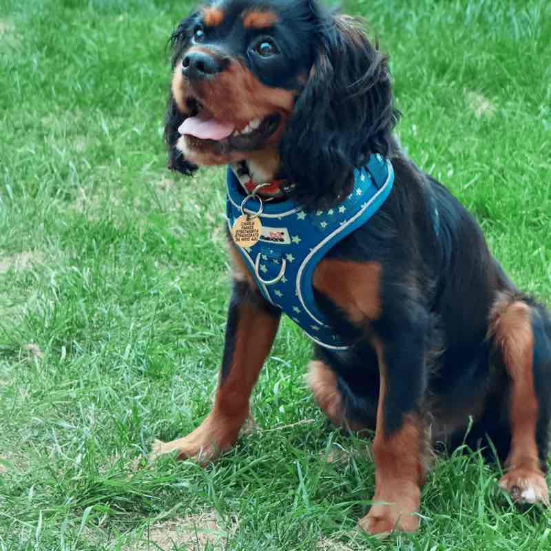 Nottingham Experience Natalie post image