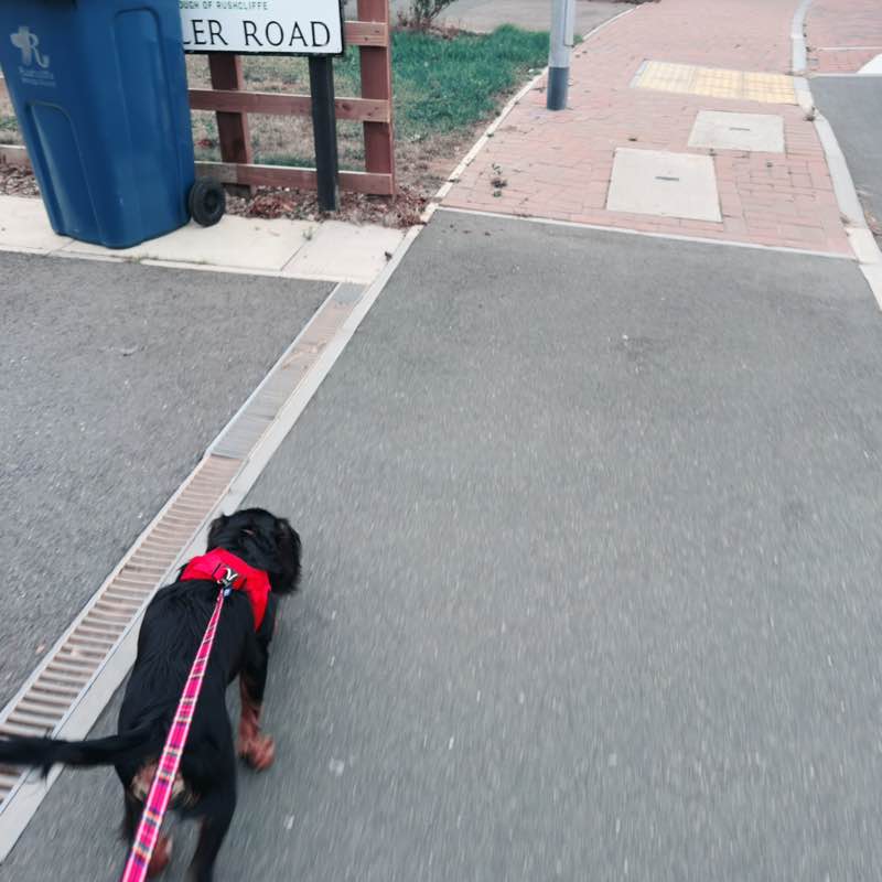 Nottingham Experience Natalie post image