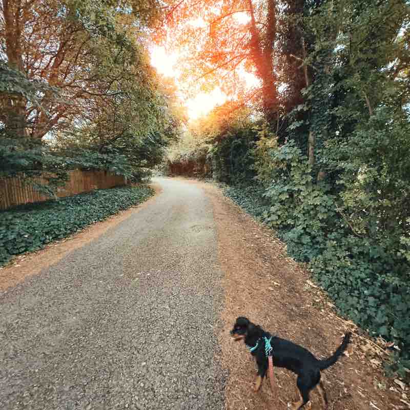 Nottingham Experience Natalie post image