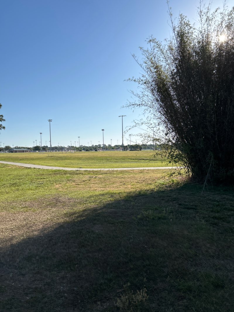 walking near me in Mitchell Ellington Park in spring
