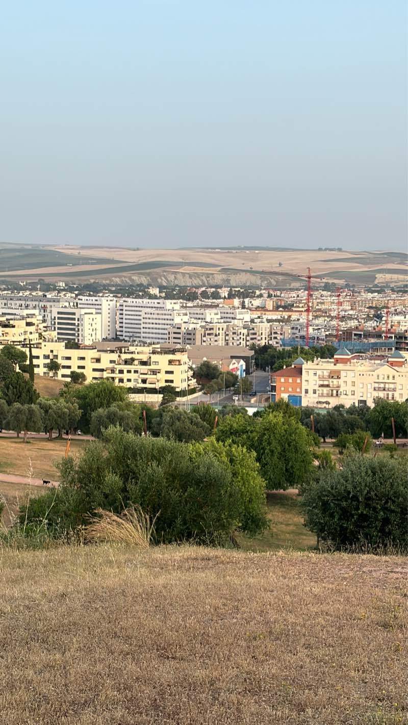 walking near me in Jardines de San Rafael in winter