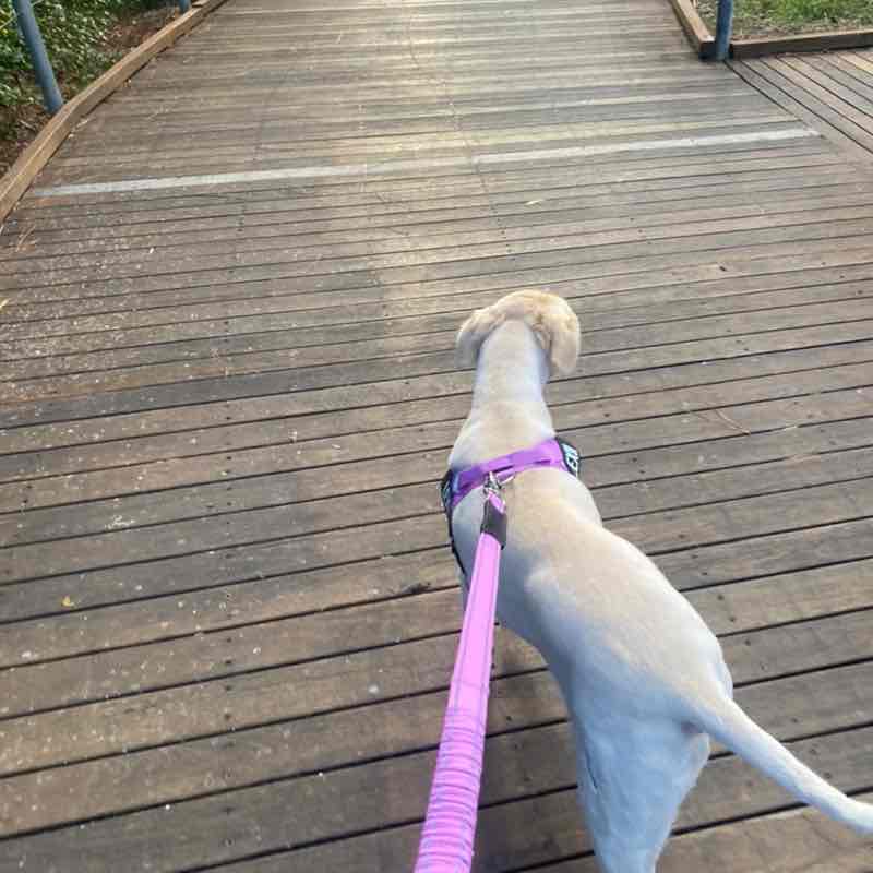 maharlia.harper post 3