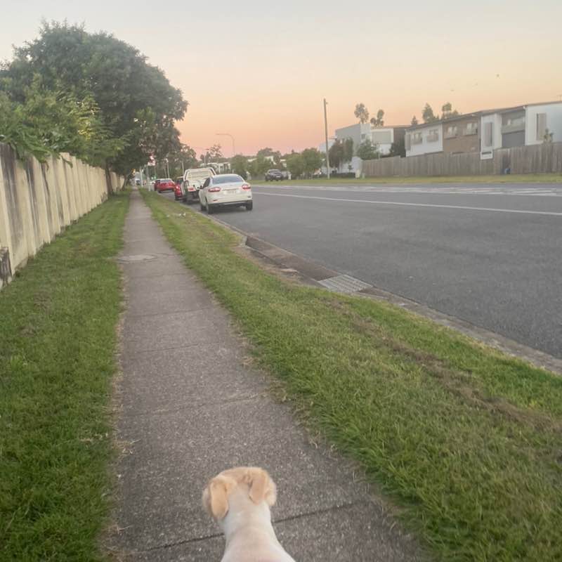 maharlia.harper post 2