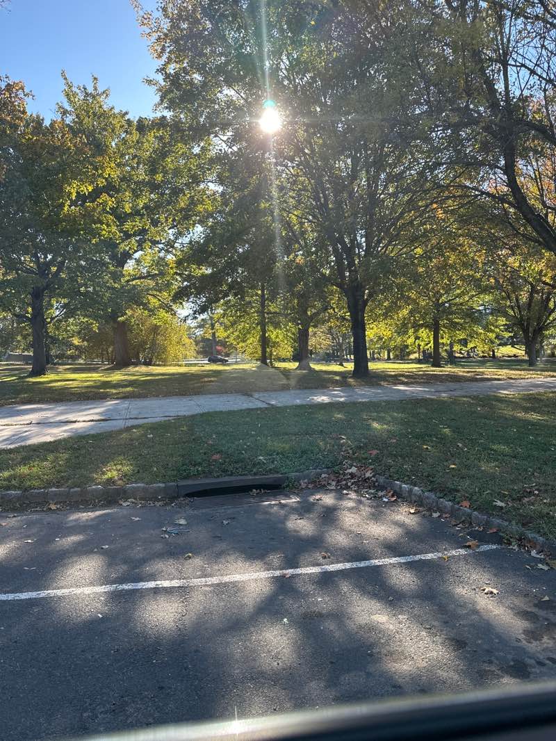 walking near me in Cedar Brook Park in autumn