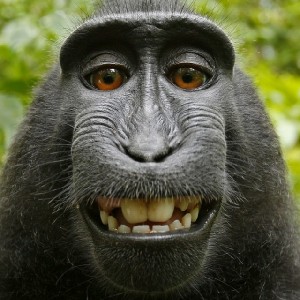 IT'S TONY TIME! icon