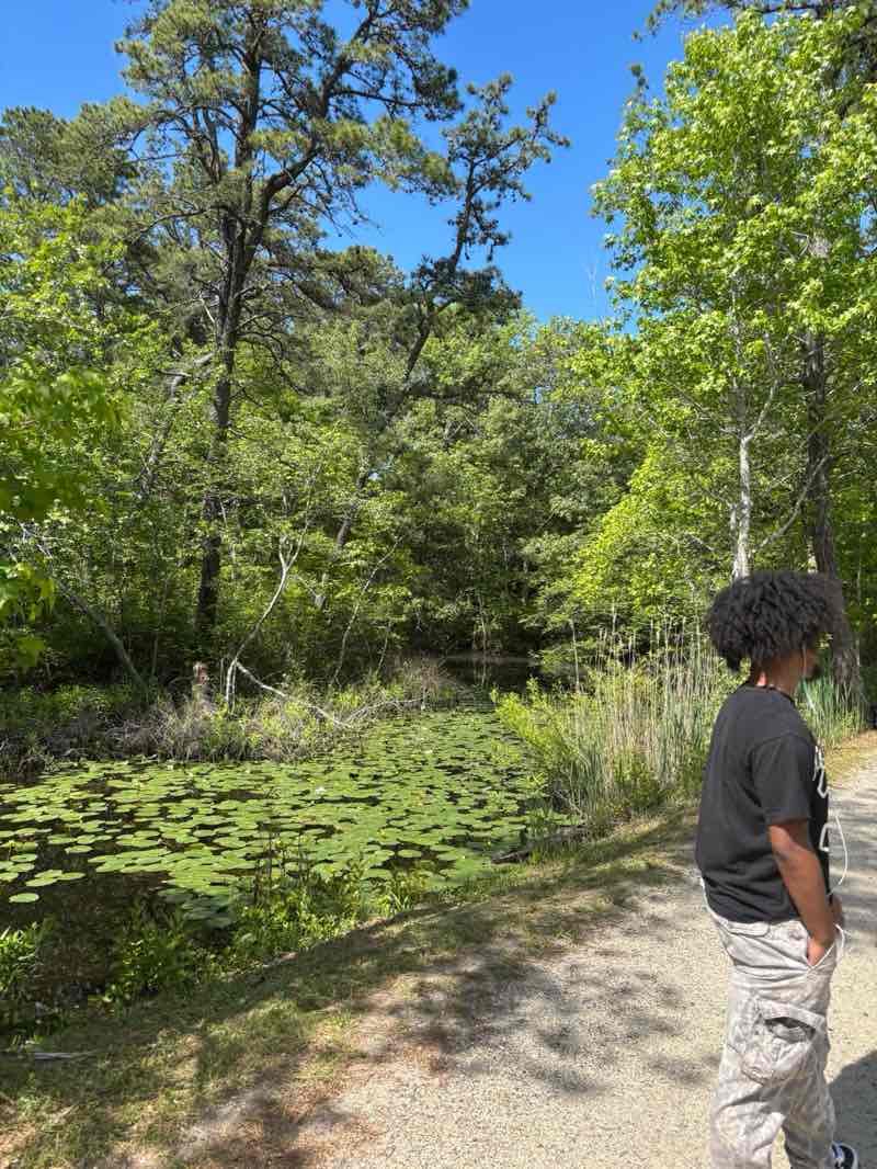 walking near me in Estell Manor Park in summer