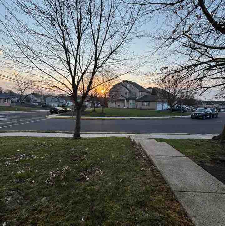 Allen/Bossy71178 post 3