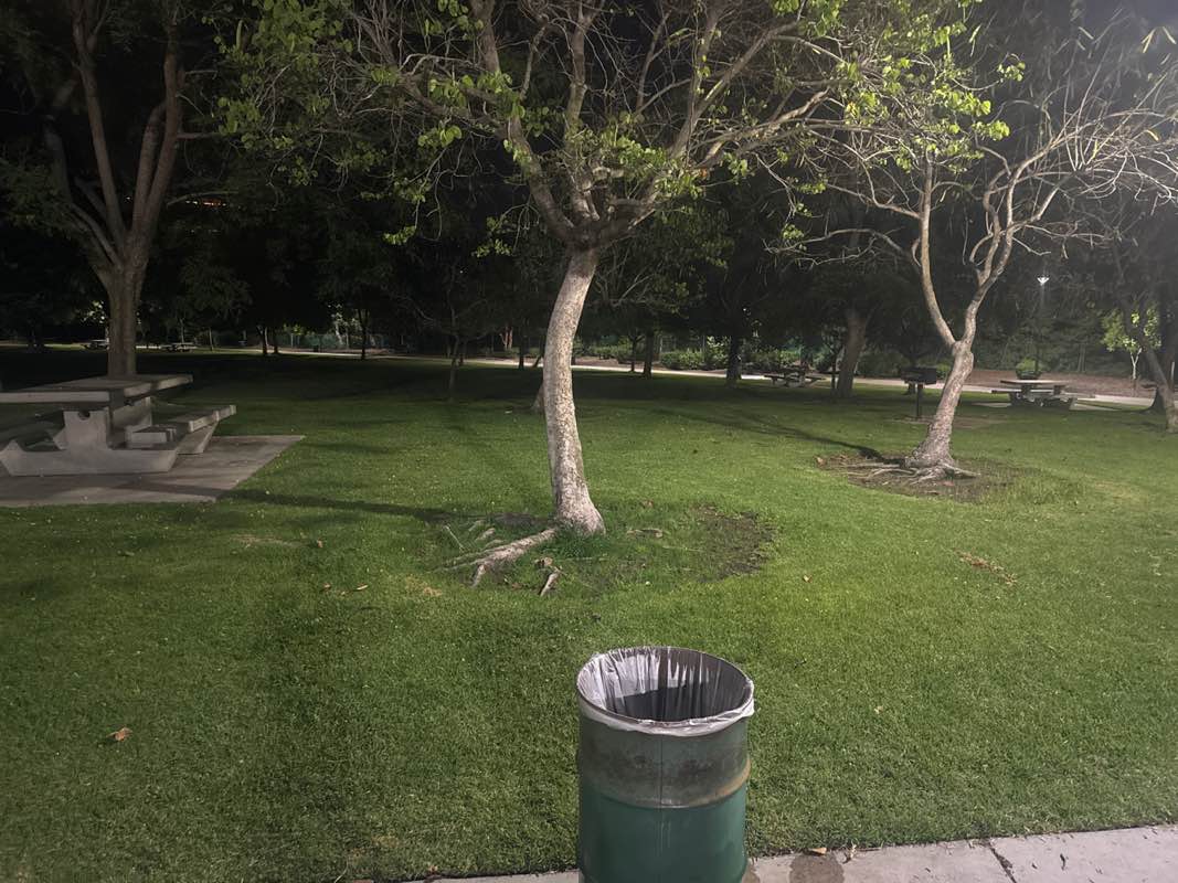 walking near me in Ronald Reagan Park in summer