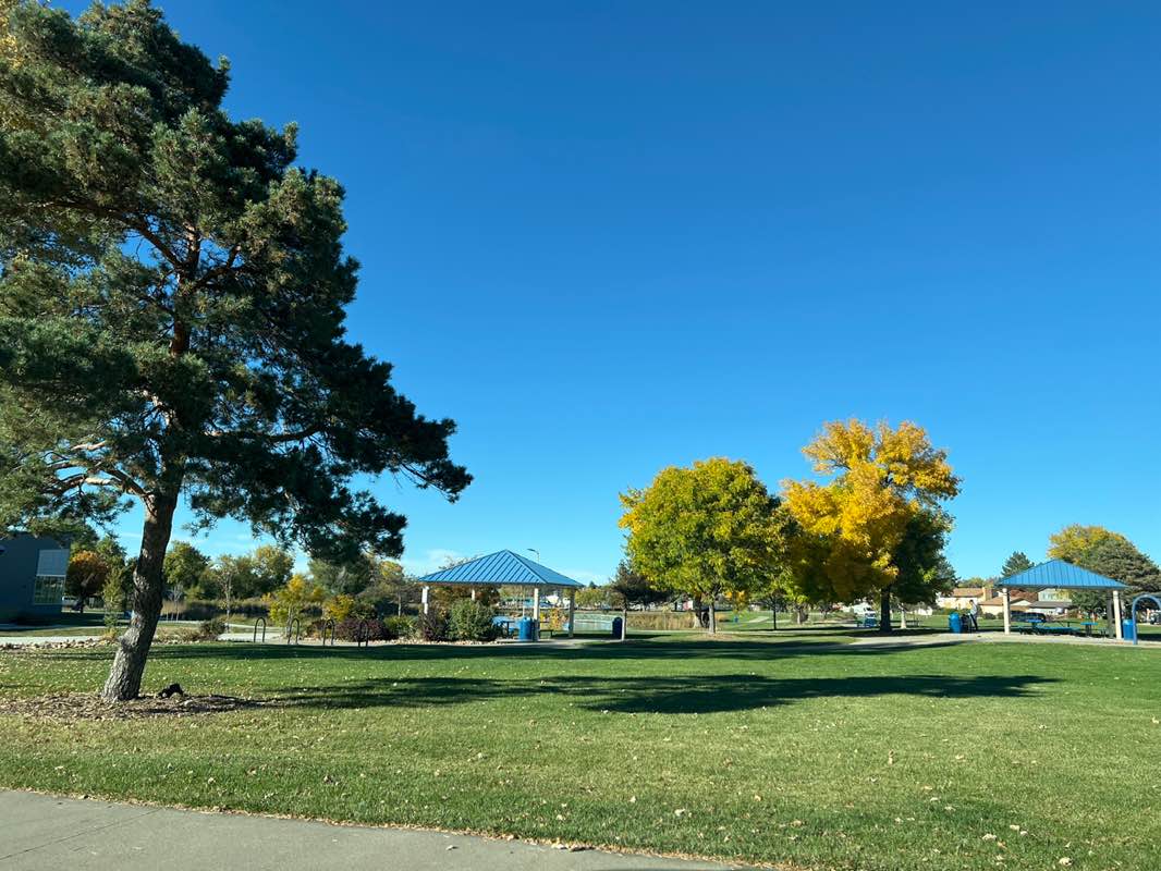 walking near me in Carol Butts Park in autumn
