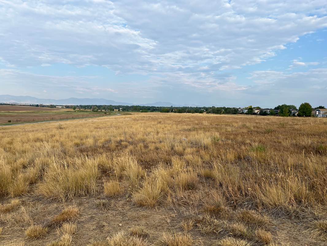 walking near me in Broomfield County Commons Open Space in autumn