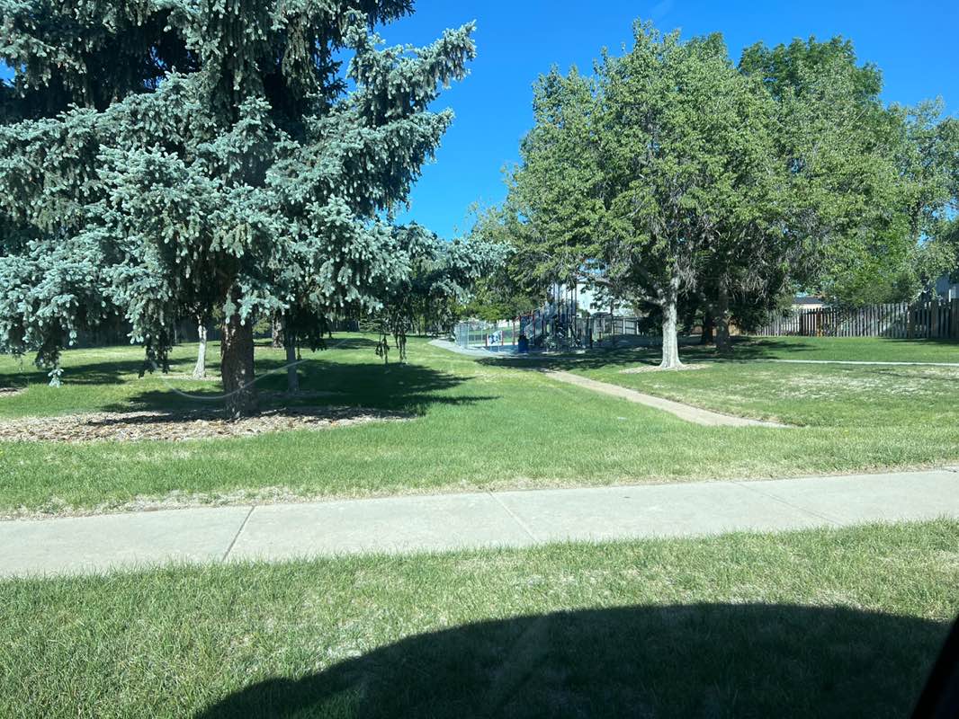 walking near me in Spruce Park in summer