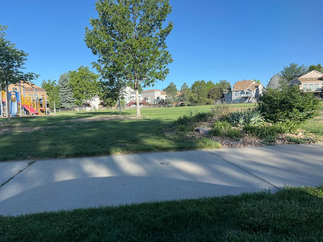 walking near me in Willow Park in summer