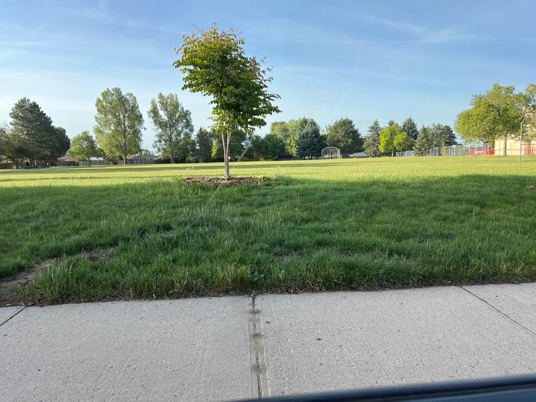 walking near me in Malley Park in summer