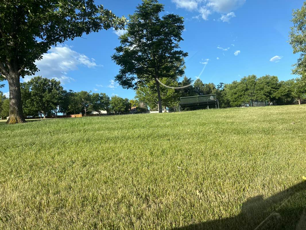 walking near me in Ranch Park in summer