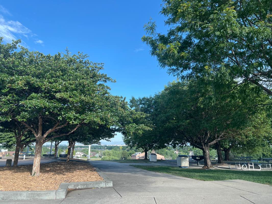walking near me in Cotton Creek Park in summer