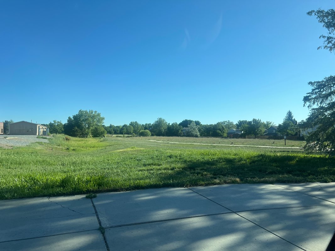walking near me in Ryan Park in summer