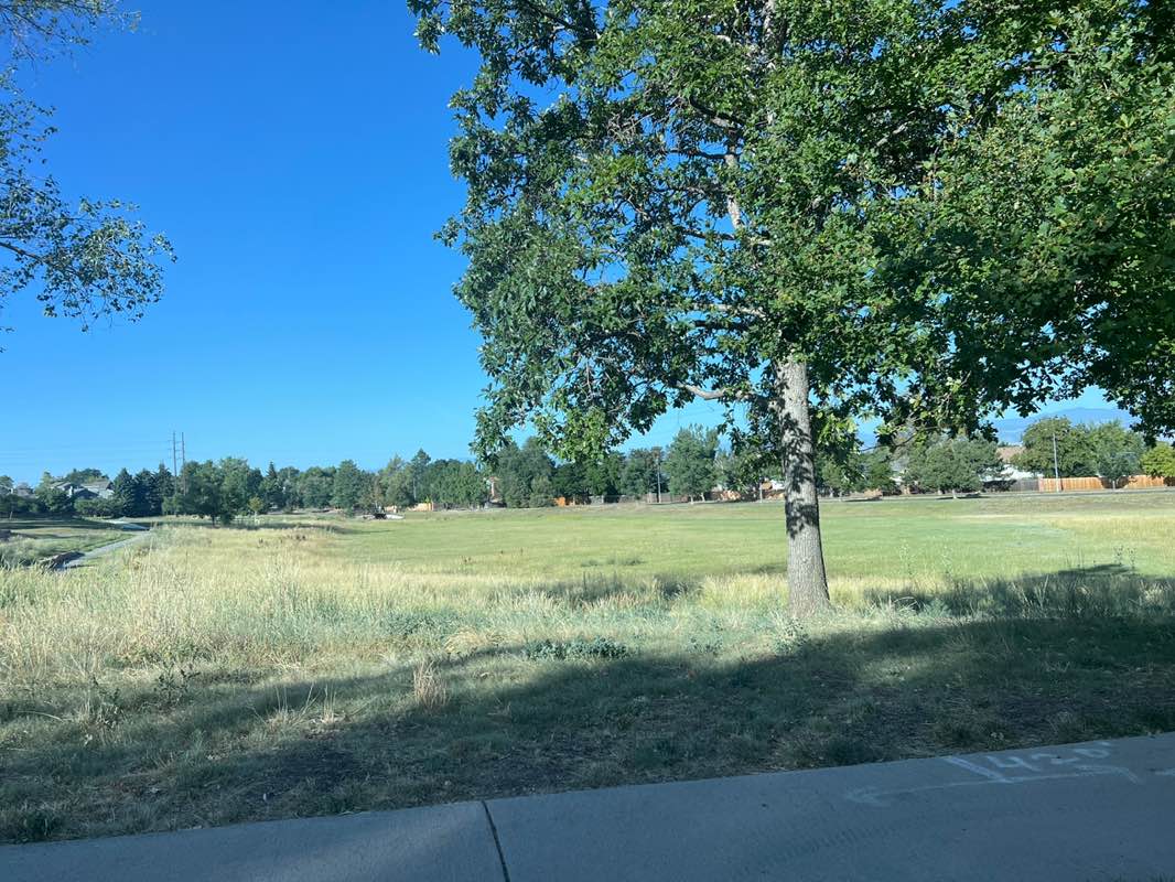 walking near me in Squire's Park in summer