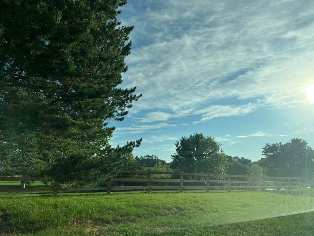 walking near me in Sage Creek Park in summer