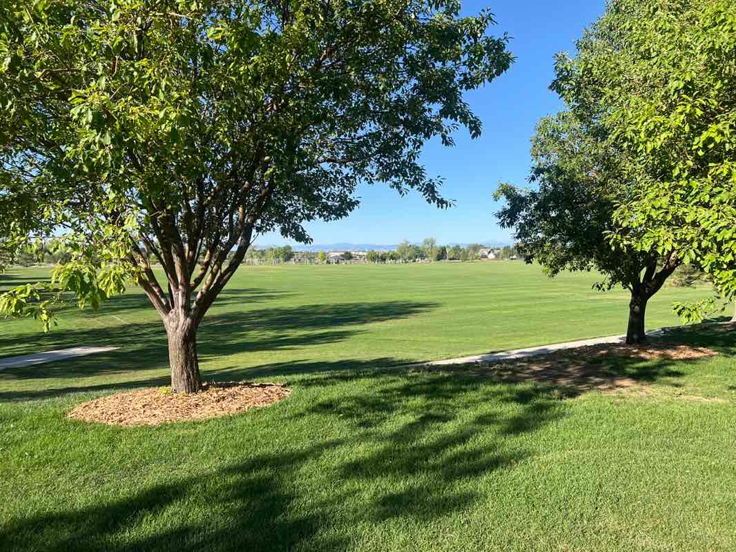 walking near me in Broomfield County Commons Park in summer